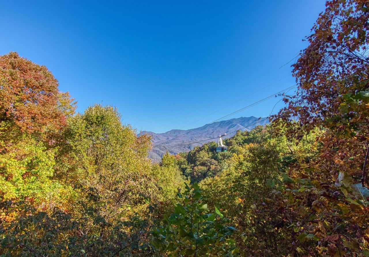 Daya, Hot Tub, Pool Table, 1089 Of Free Attraction Tickets For Each Paid Day, Dollywood And More! Gatlinburg Esterno foto